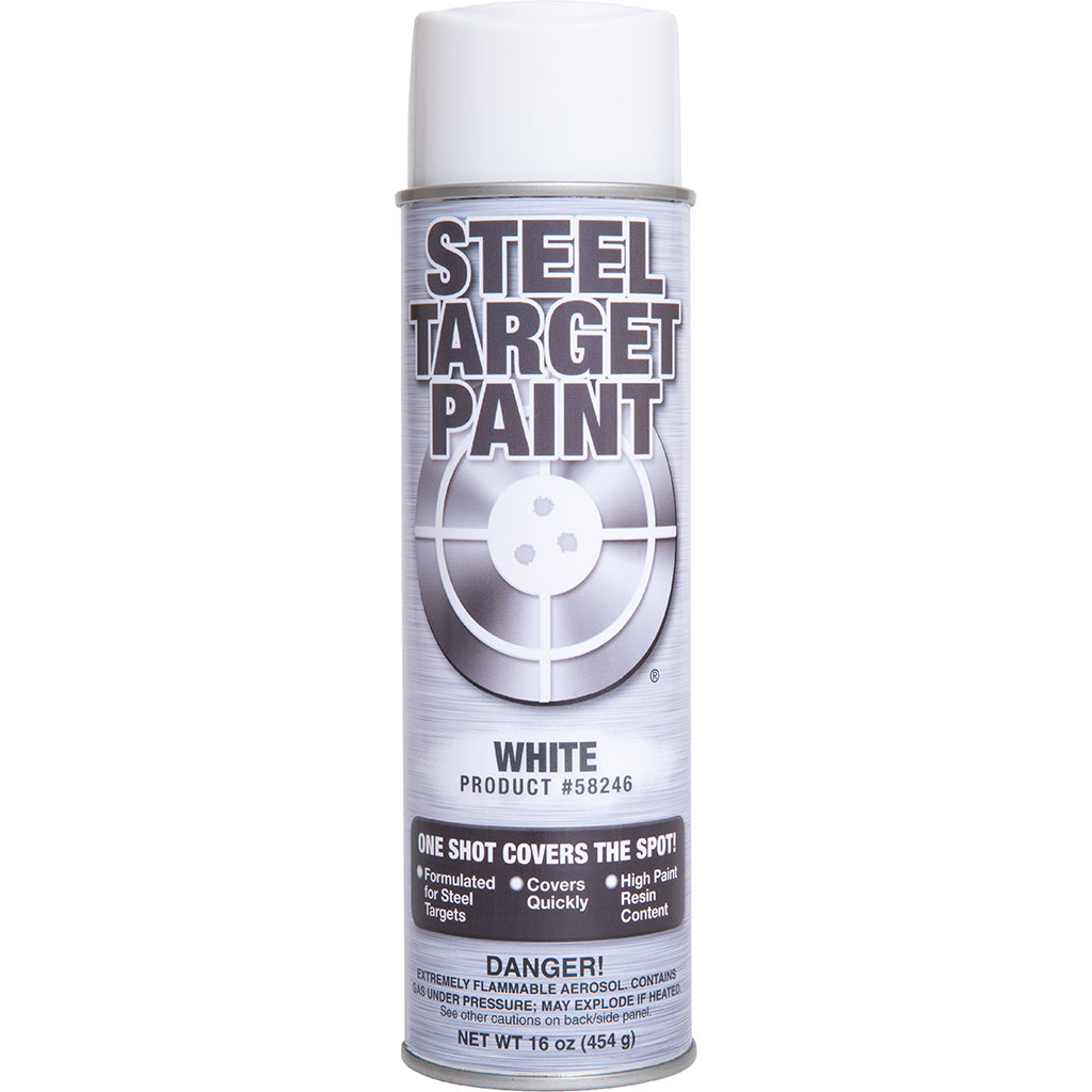 White Steel Target Paint