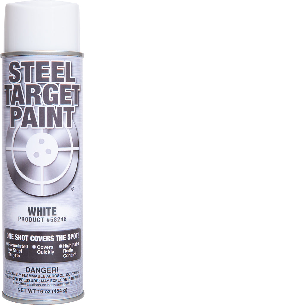 White Steel Target Paint