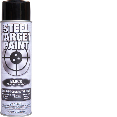 Black Steel Target Paint