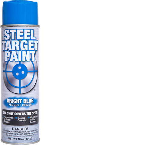 Bright Blue Steel Target Paint